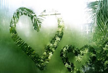 山东与邱彪签订长期合同 四年内四次更换主教练