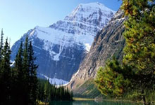 罗马诺：劳埃德·凯利于七月初以自由球员身份加盟纽卡斯尔联队