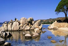 上海申花首败 冠军异变 海港独领5分优势